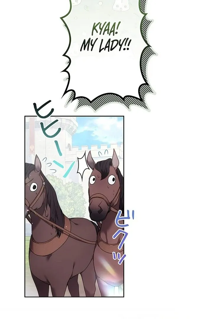 Read Mighty Macaron Wants To Be Meek Manga Online