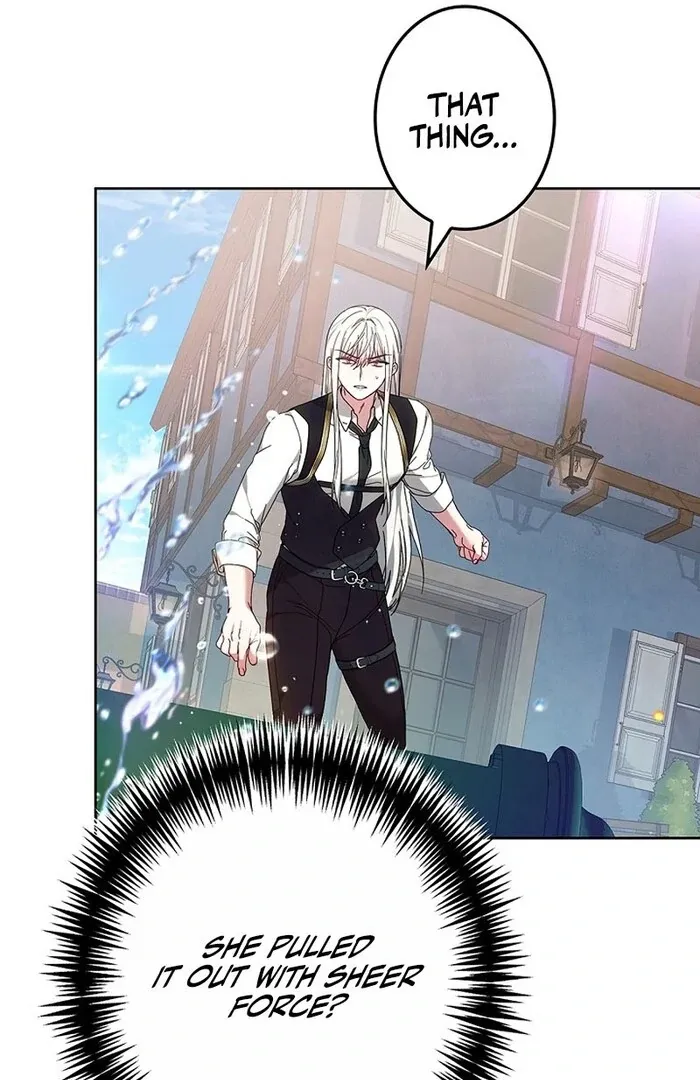 Read Mighty Macaron Wants To Be Meek Manga Online