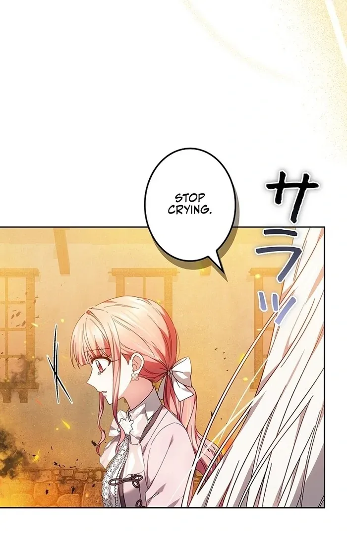 Read Mighty Macaron Wants To Be Meek Manga Online