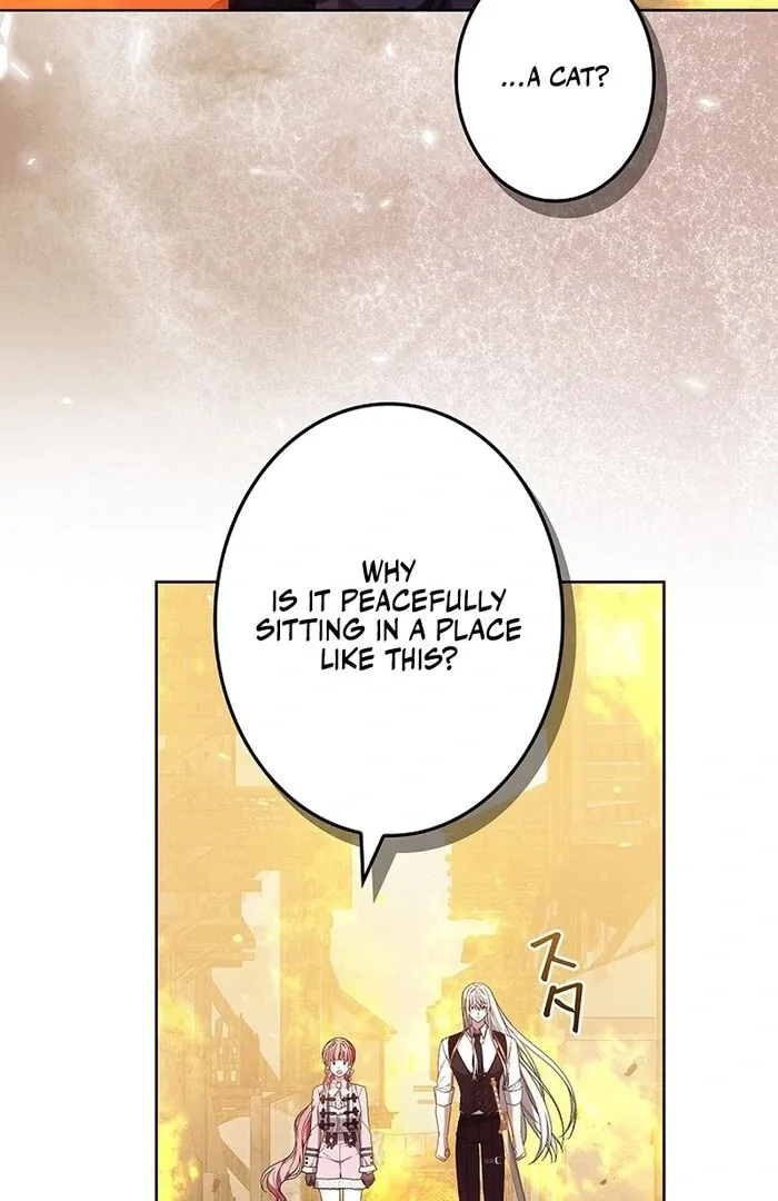Read Mighty Macaron Wants To Be Meek Manga Online
