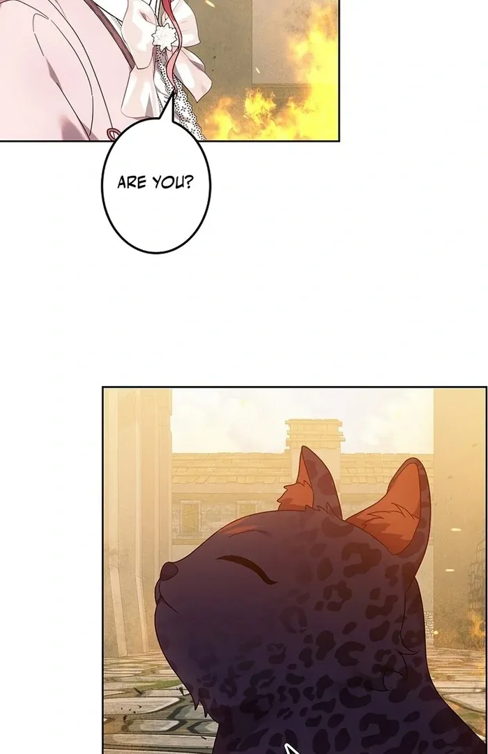 Read Mighty Macaron Wants To Be Meek Manga Online