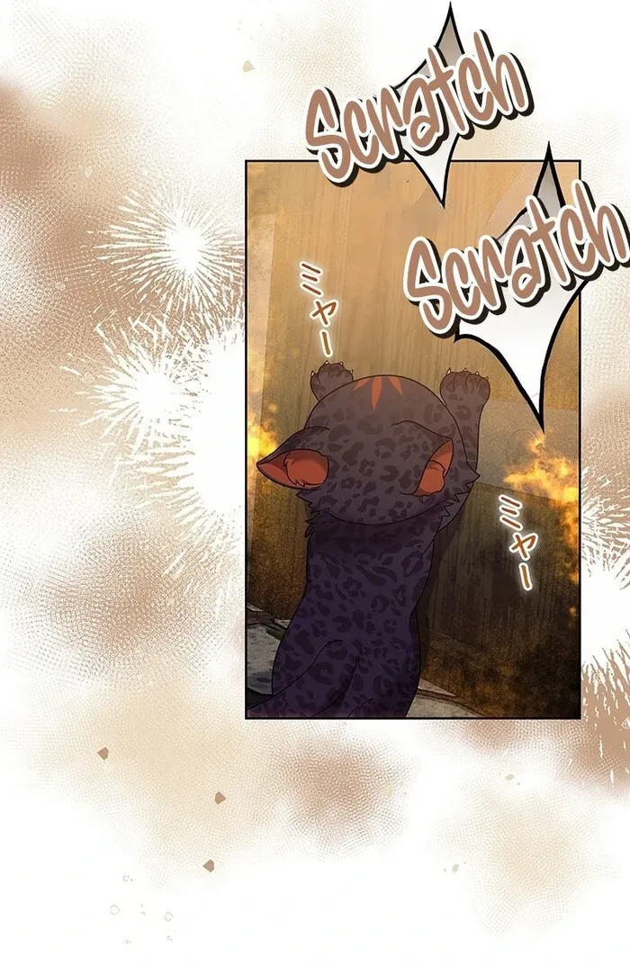 Read Mighty Macaron Wants To Be Meek Manga Online