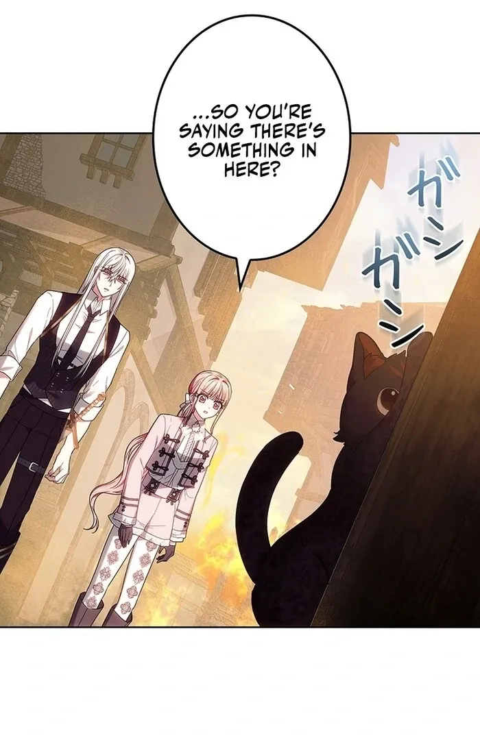Read Mighty Macaron Wants To Be Meek Manga Online