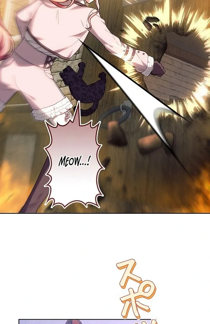 Read Mighty Macaron Wants To Be Meek Manga Online