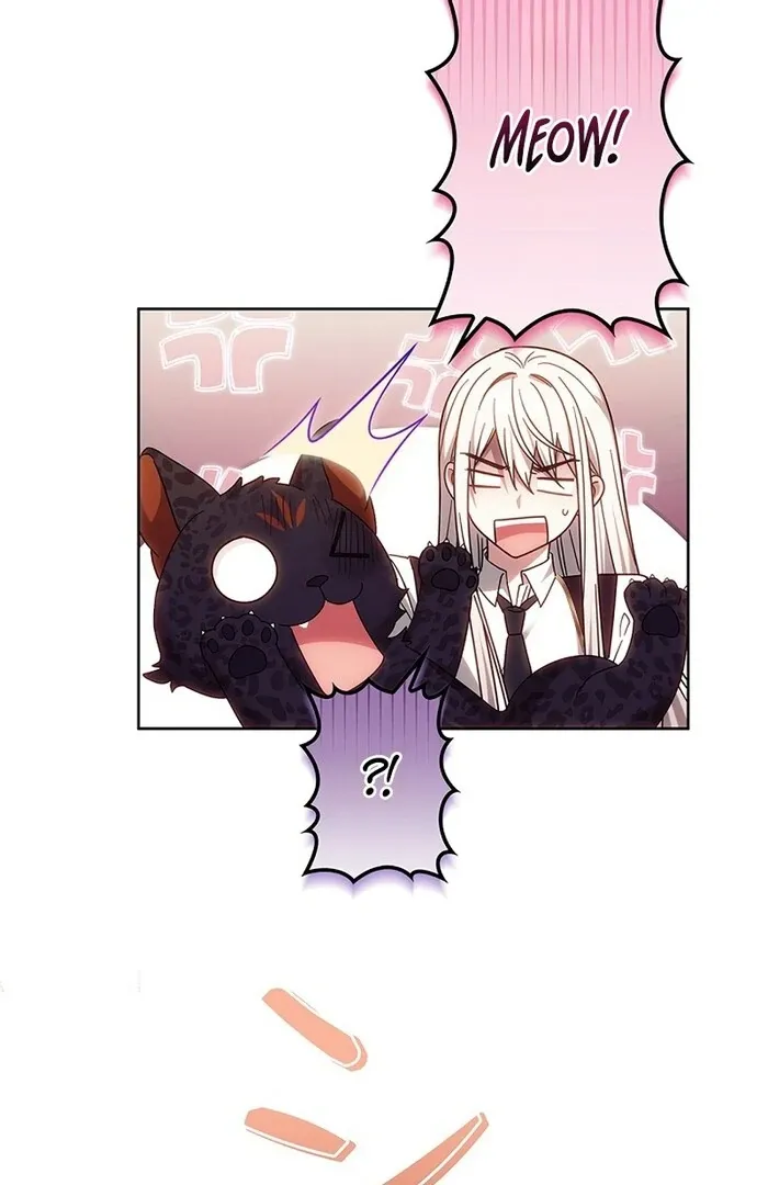 Read Mighty Macaron Wants To Be Meek Manga Online