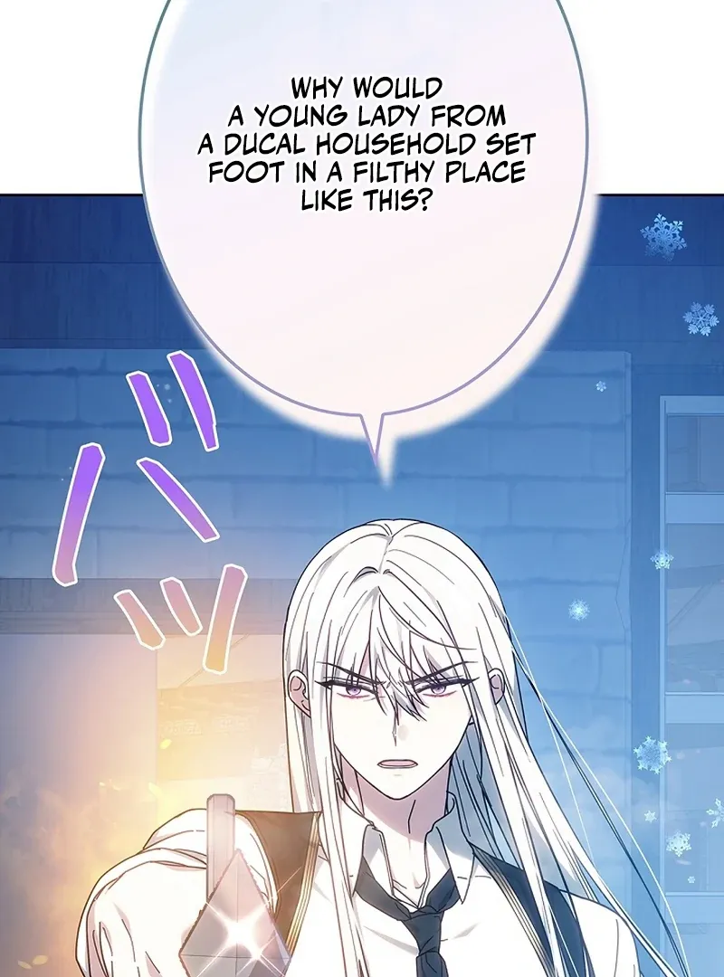 Read Mighty Macaron Wants To Be Meek Manga Online