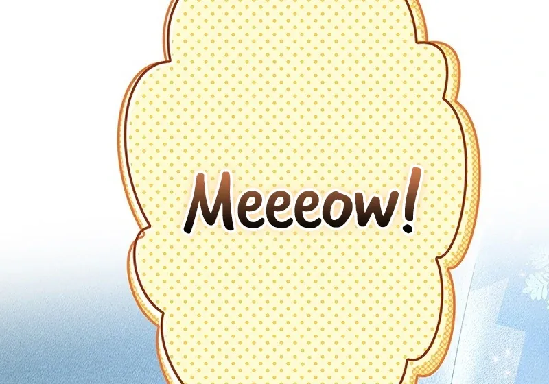 Read Mighty Macaron Wants To Be Meek Manga Online