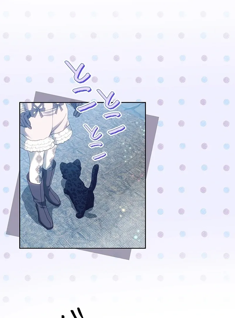 Read Mighty Macaron Wants To Be Meek Manga Online
