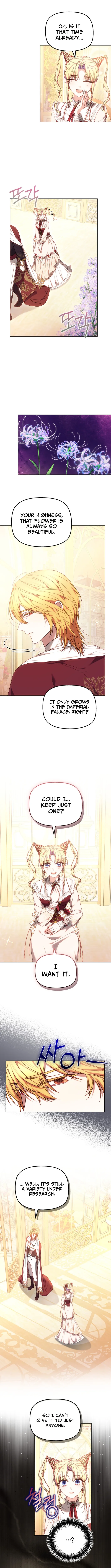 Read Mighty Macaron Wants To Be Meek Manga Online
