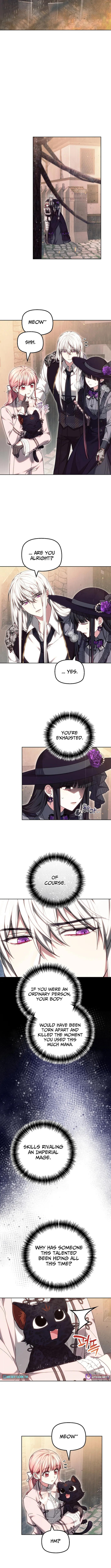 Read Mighty Macaron Wants To Be Meek Manga Online