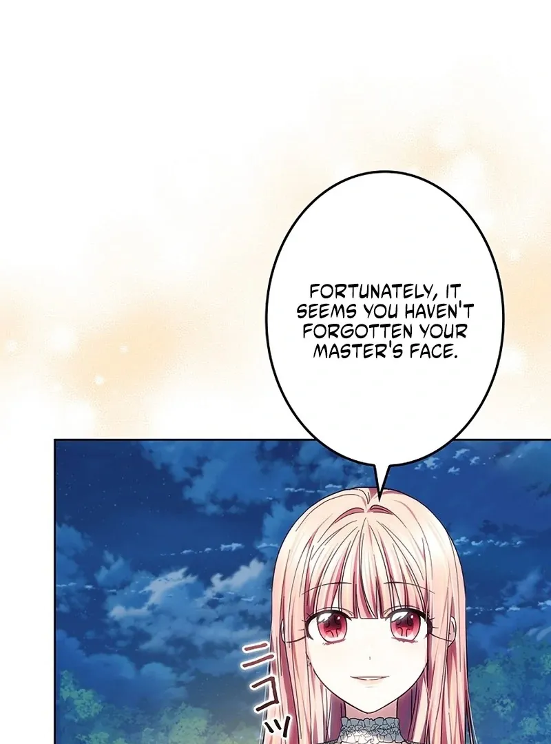Read Mighty Macaron Wants To Be Meek Manga Online