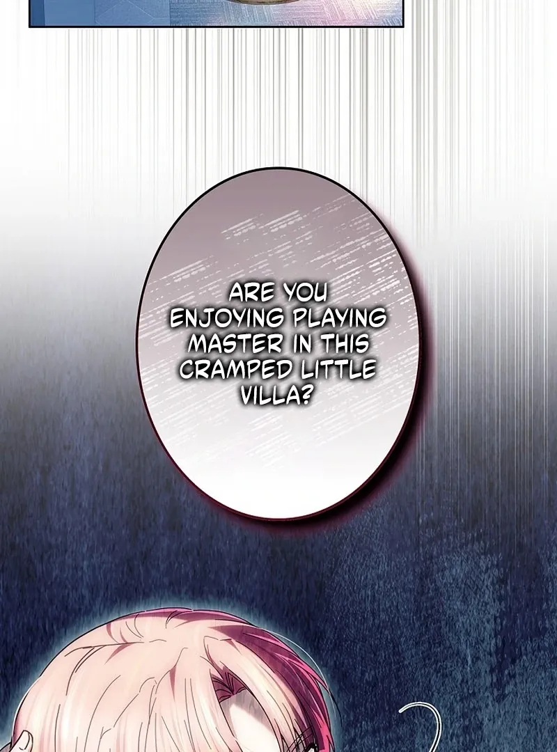 Read Mighty Macaron Wants To Be Meek Manga Online