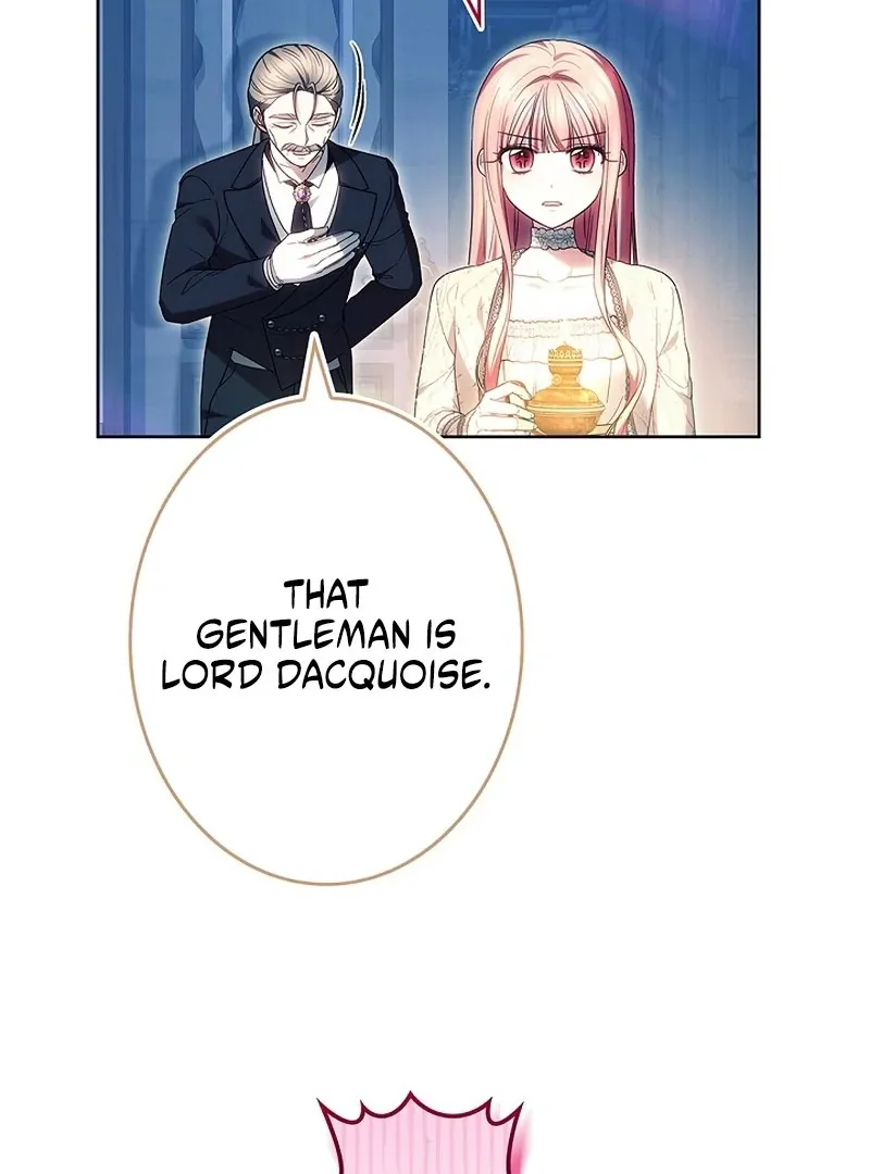 Read Mighty Macaron Wants To Be Meek Manga Online