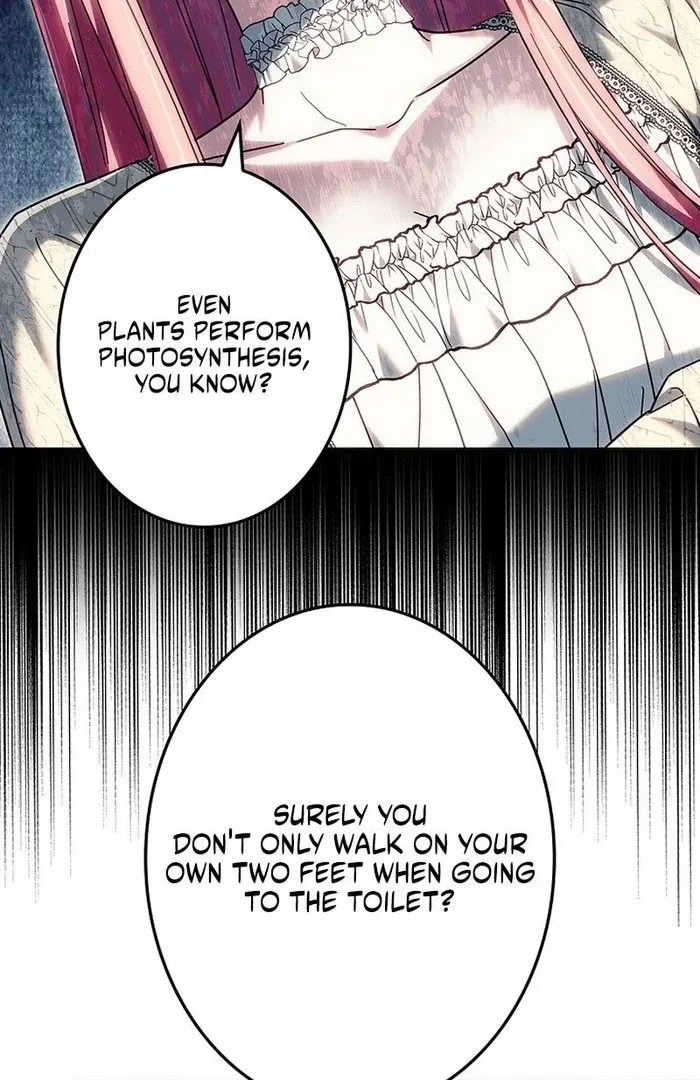 Read Mighty Macaron Wants To Be Meek Manga Online