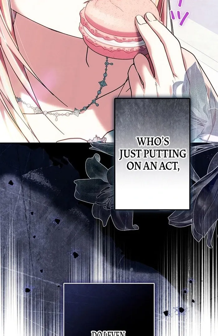 Read Mighty Macaron Wants To Be Meek Manga Online