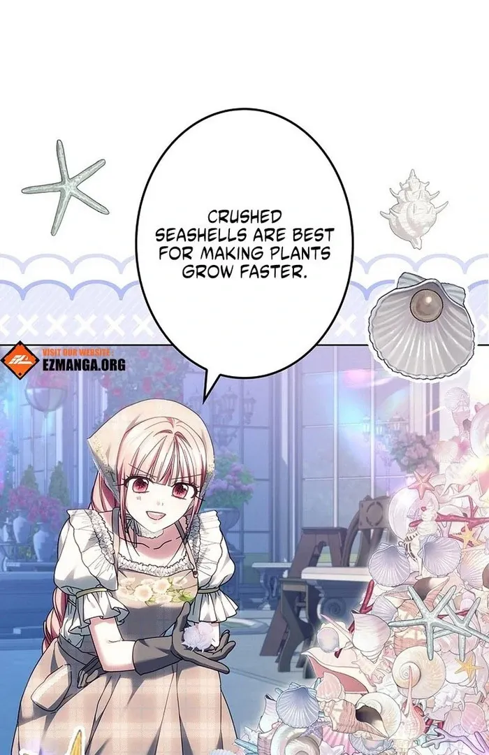Read Mighty Macaron Wants To Be Meek Manga Online