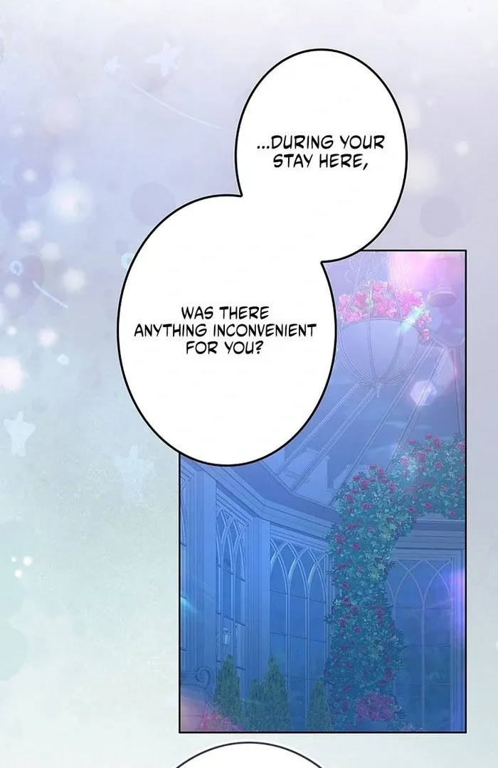 Read Mighty Macaron Wants To Be Meek Manga Online