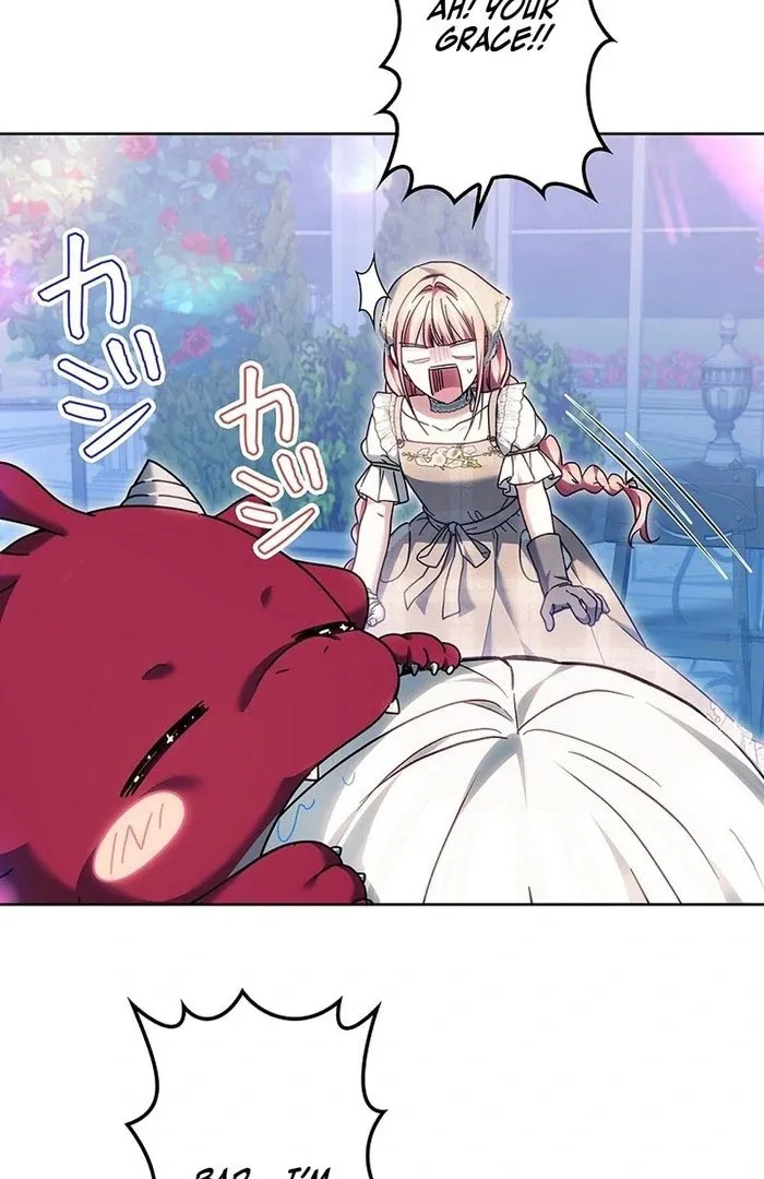 Read Mighty Macaron Wants To Be Meek Manga Online