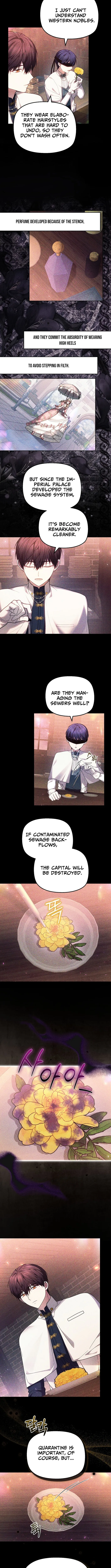 Read Mighty Macaron Wants To Be Meek Manga Online