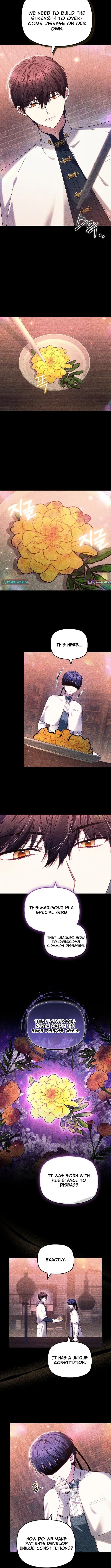 Read Mighty Macaron Wants To Be Meek Manga Online