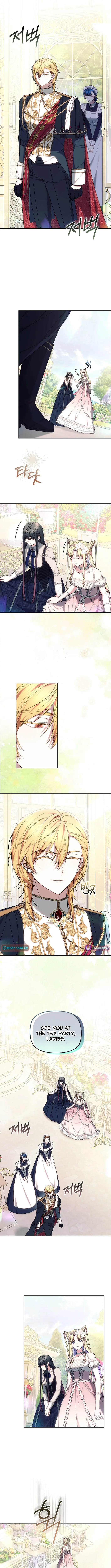 Read Mighty Macaron Wants To Be Meek Manga Online
