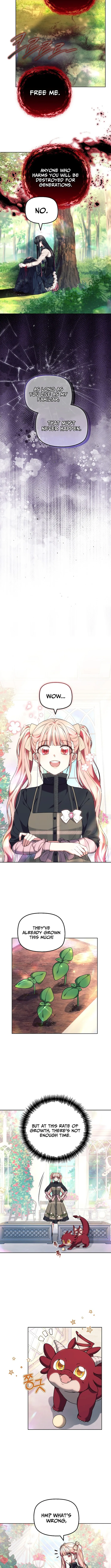 Read Mighty Macaron Wants To Be Meek Manga Online