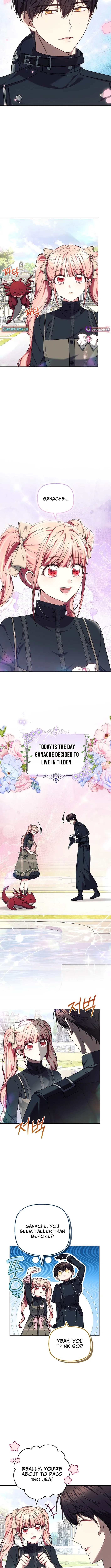 Read Mighty Macaron Wants To Be Meek Manga Online