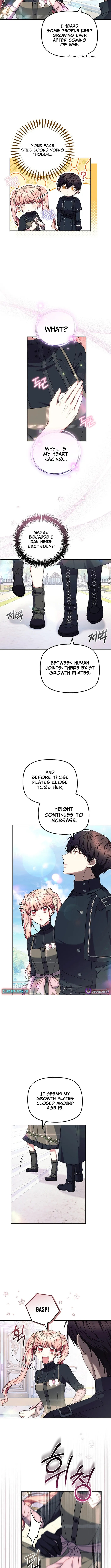 Read Mighty Macaron Wants To Be Meek Manga Online