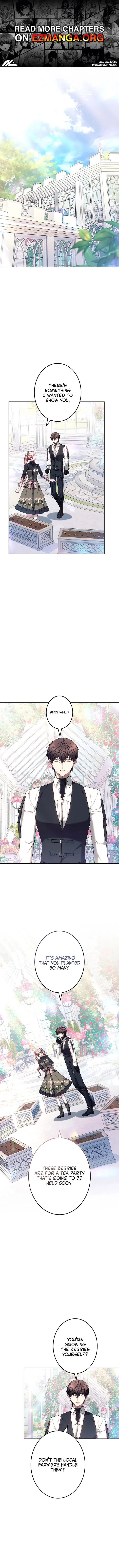 Read Mighty Macaron Wants To Be Meek Manga Online