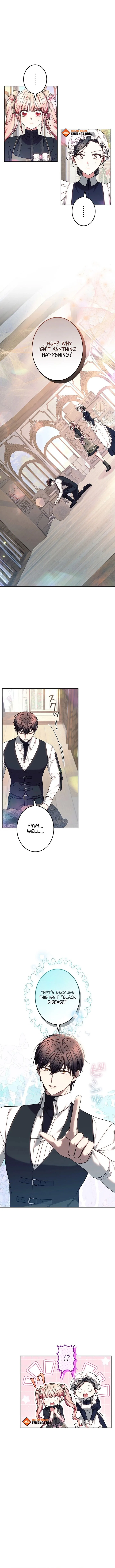 Read Mighty Macaron Wants To Be Meek Manga Online