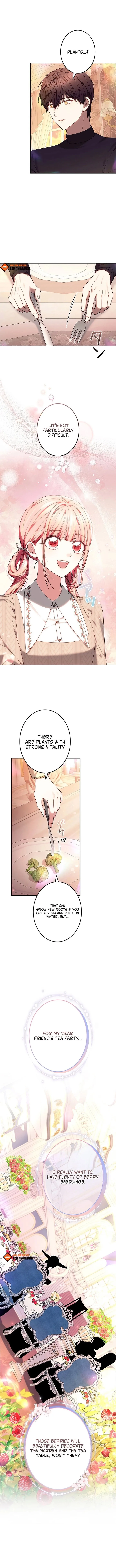 Read Mighty Macaron Wants To Be Meek Manga Online
