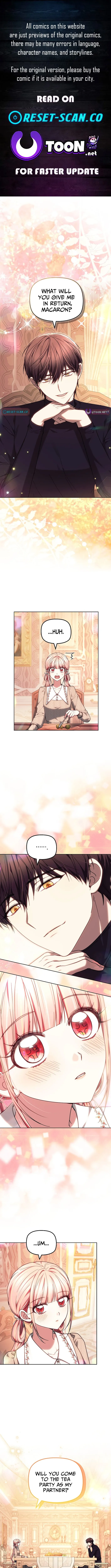 Read Mighty Macaron Wants To Be Meek Manga Online