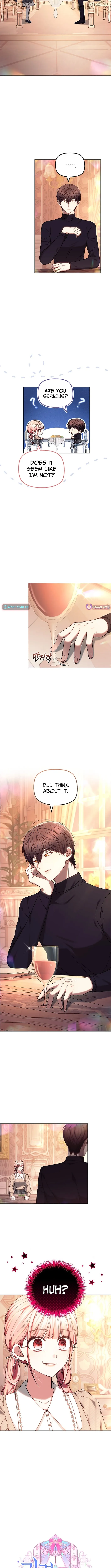 Read Mighty Macaron Wants To Be Meek Manga Online