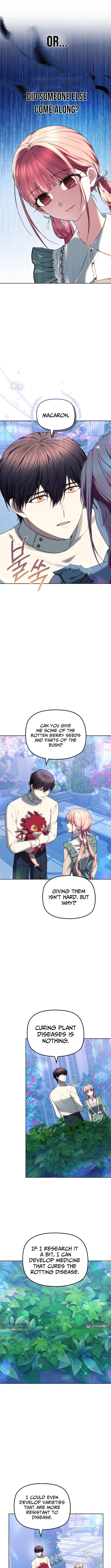 Read Mighty Macaron Wants To Be Meek Manga Online