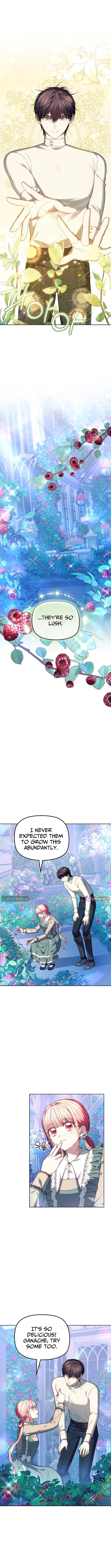 Read Mighty Macaron Wants To Be Meek Manga Online