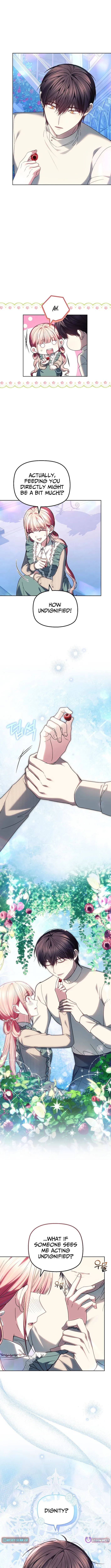 Read Mighty Macaron Wants To Be Meek Manga Online