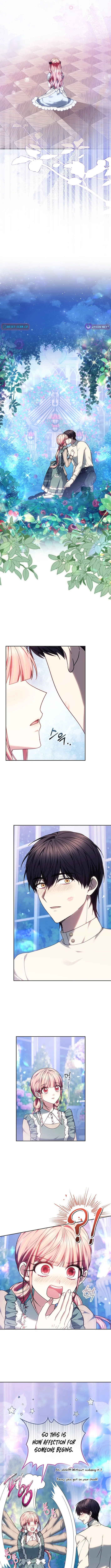 Read Mighty Macaron Wants To Be Meek Manga Online