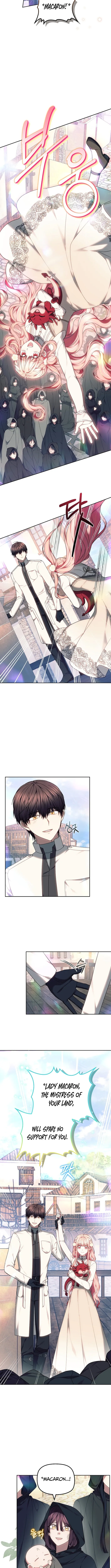 Read Mighty Macaron Wants To Be Meek Manga Online