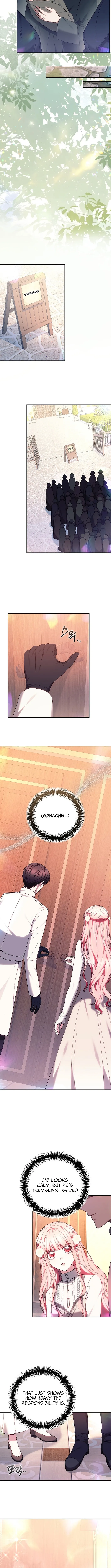 Read Mighty Macaron Wants To Be Meek Manga Online