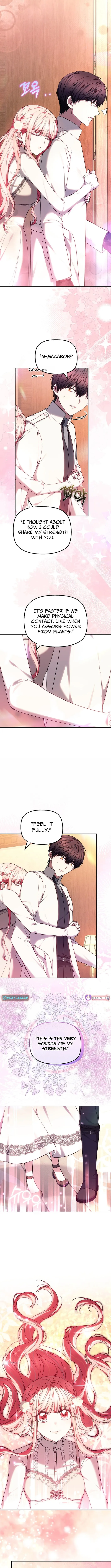 Read Mighty Macaron Wants To Be Meek Manga Online