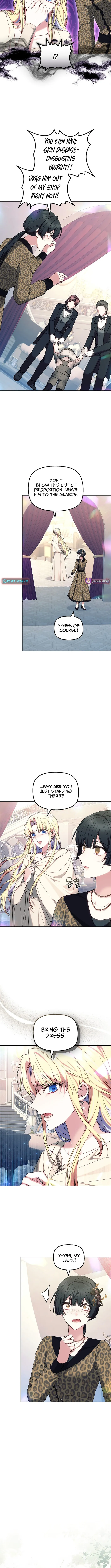 Read Mighty Macaron Wants To Be Meek Manga Online