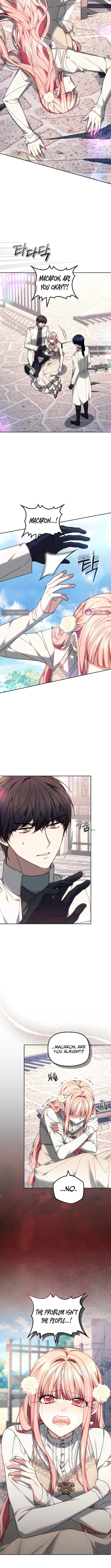 Read Mighty Macaron Wants To Be Meek Manga Online
