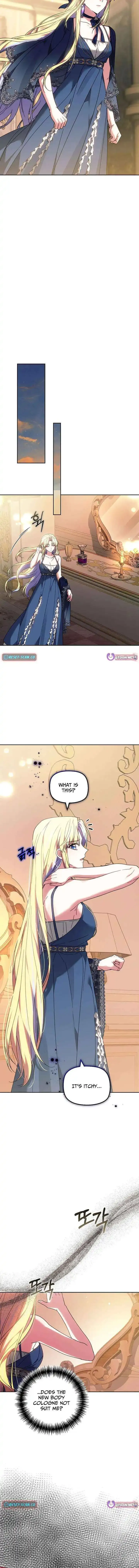 Read Mighty Macaron Wants To Be Meek Manga Online