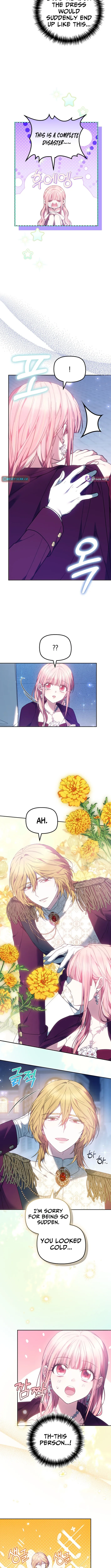 Read Mighty Macaron Wants To Be Meek Manga Online