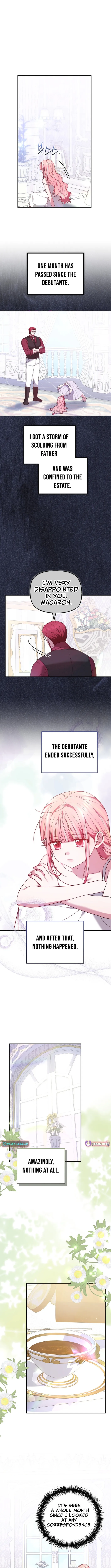 Read Mighty Macaron Wants To Be Meek Manga Online