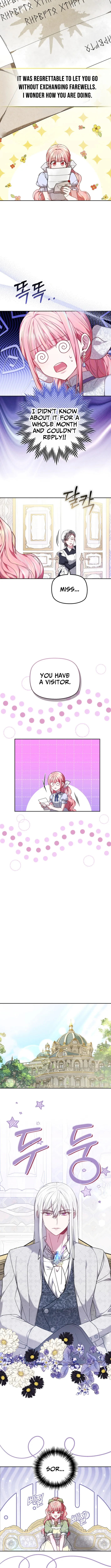 Read Mighty Macaron Wants To Be Meek Manga Online