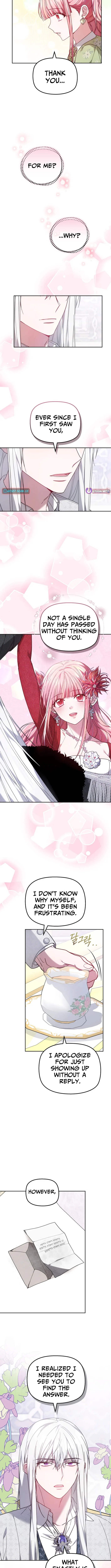 Read Mighty Macaron Wants To Be Meek Manga Online