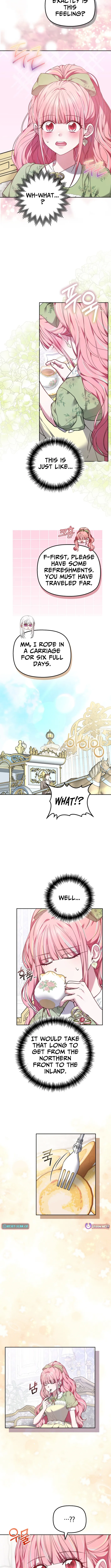 Read Mighty Macaron Wants To Be Meek Manga Online