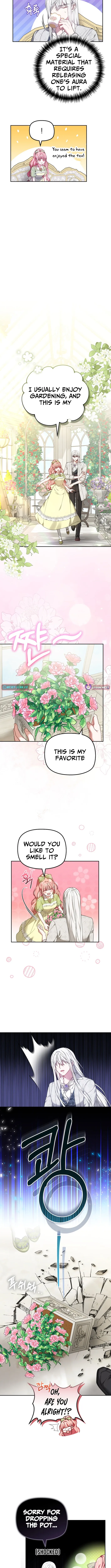 Read Mighty Macaron Wants To Be Meek Manga Online