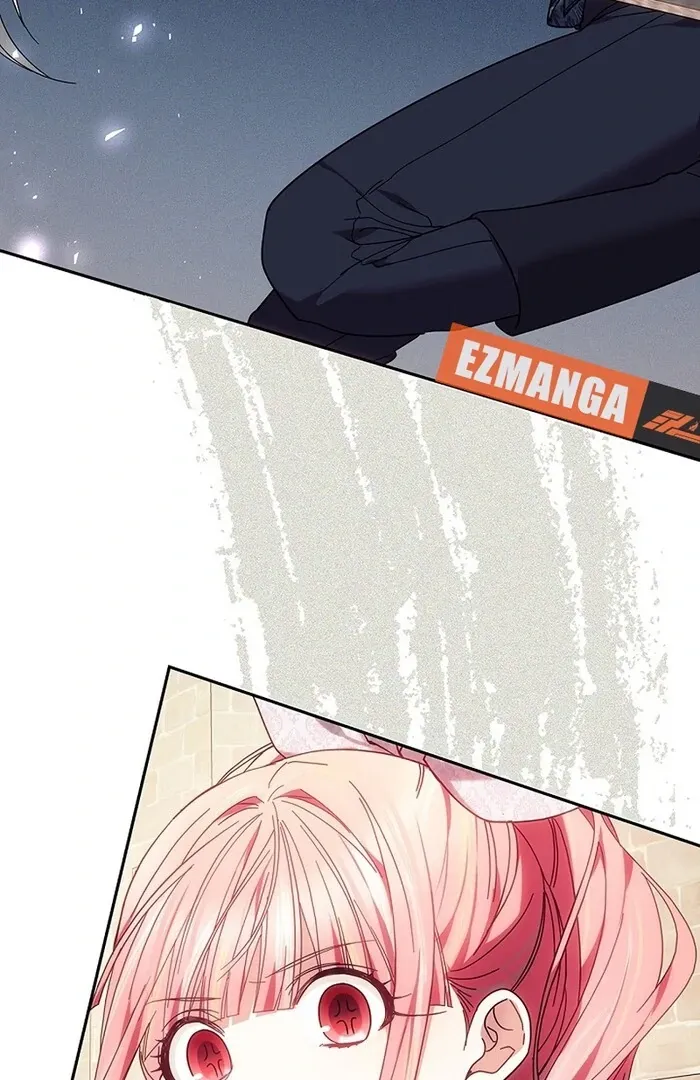 Read Mighty Macaron Wants To Be Meek Manga Online